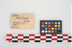 Etikett zu Bronzeschlangenfibel (NHMW-PRAE-025811)
